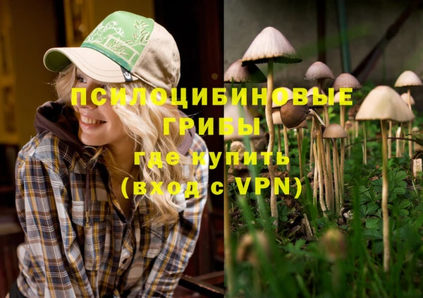 спайс Балахна