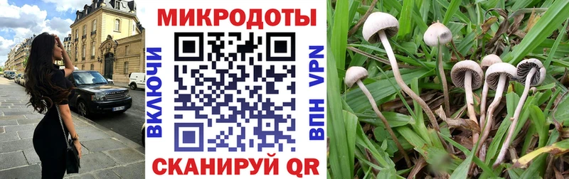 где купить наркоту  OMG как зайти  Псилоцибиновые грибы MAGIC MUSHROOMS  Старая Купавна 